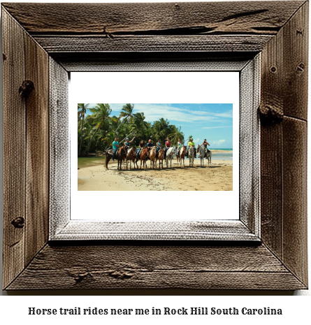 horse trail rides near me in Rock Hill, South Carolina